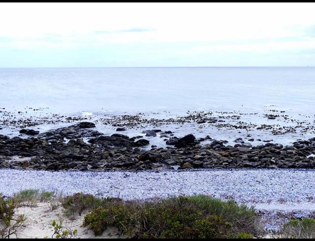 LAND FOR SALE IN SHELLEY POINT